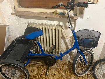 Bicicletta 3 Ruote