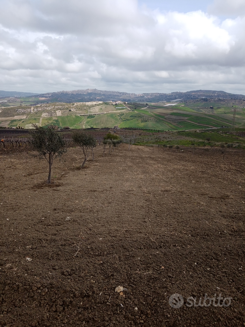 Terreno con rustico di circa 60000 (24 tumoli circ - Vista 4