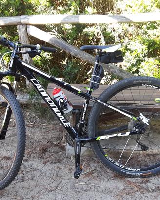 Bici MTB