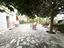 Immagine 23