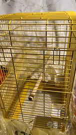 Gabbia Canarini/ pappagalli
