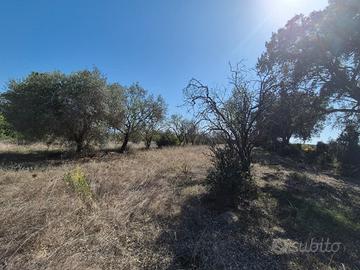 Terreni agricoli - san giovanni suergiu