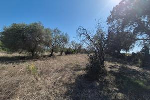 Terreni agricoli - san giovanni suergiu