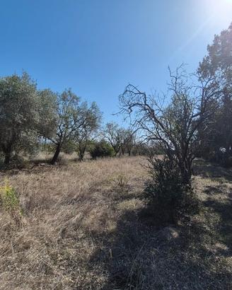 Terreni agricoli - san giovanni suergiu