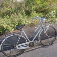 bici 26 trionfo