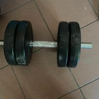 Kit manubri 20 kg