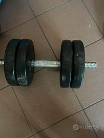 Kit manubri 20 kg