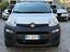 Immagine 8