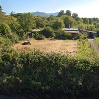 Vigneto CON FABBRICATO - accesso diretto- Macomer