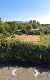 Vigneto CON FABBRICATO - accesso diretto- Macomer