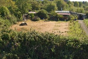 Vigneto CON FABBRICATO - accesso diretto- Macomer