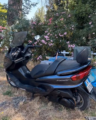 Ricambi yamaha majesty 250 del 2006