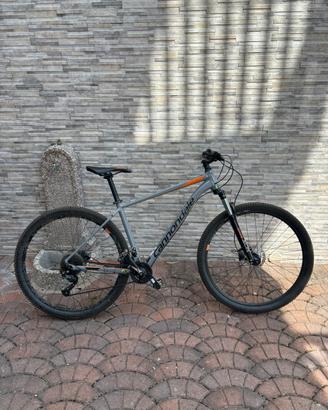 Cannondale Trail 7 29”