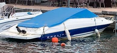 Bayliner 2052 solo Lago di Garda