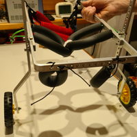 Nuovo carrello carrozzina per cani disabili