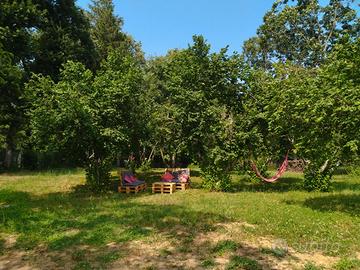 Terreno agricolo a manziana