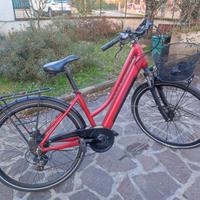 bici pedalata assistita  Brera