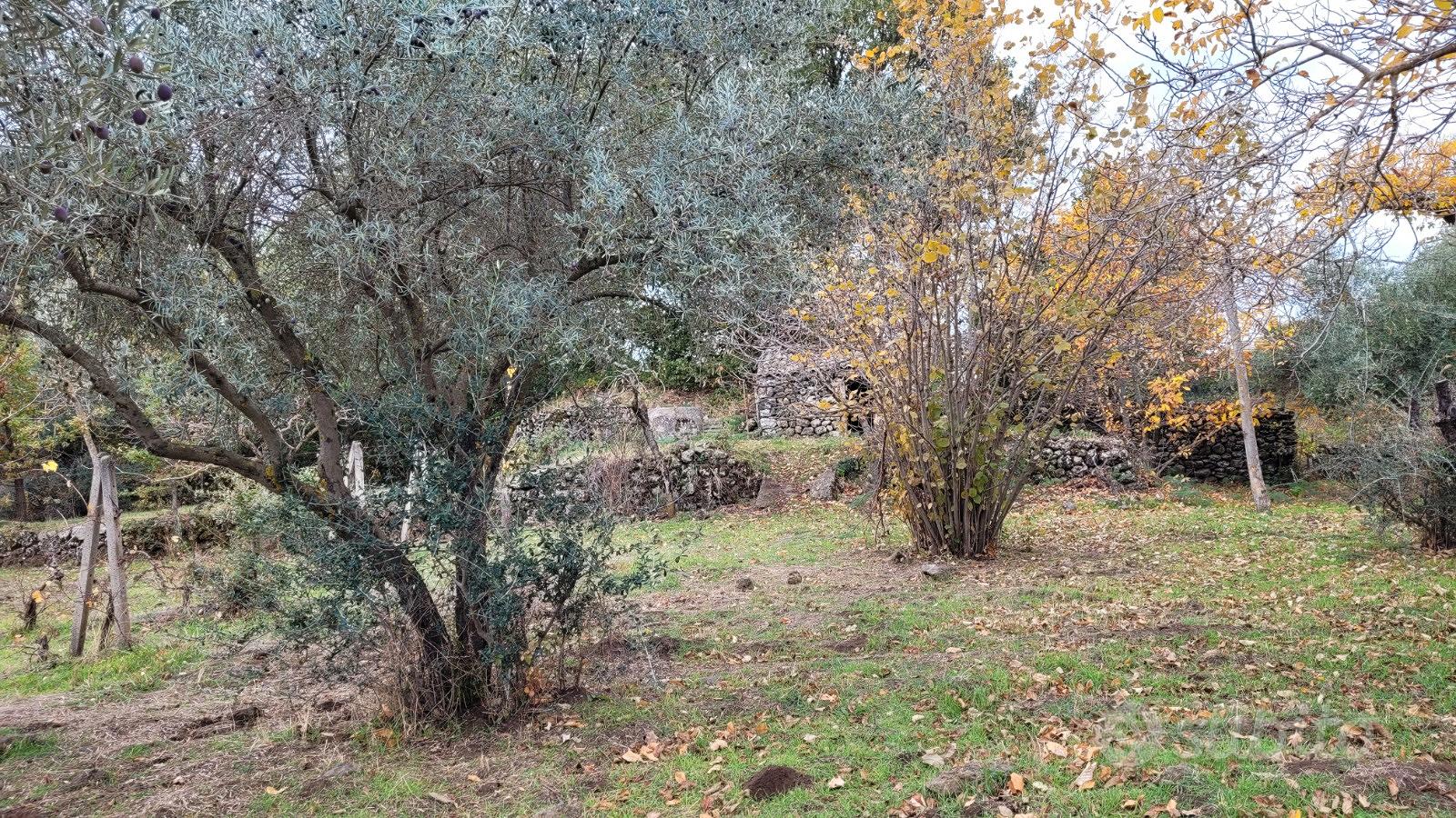 Bronte zona Maletto terreno 5400mq - Altro