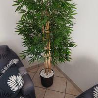 pianta finta