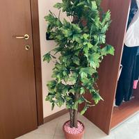 Pianta finta arredamentov