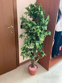 Pianta finta arredamentov