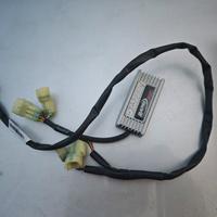 Centralina Rapido Bike Easy