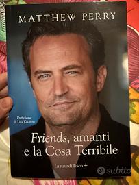 Matthew Perry - Friends, amanti