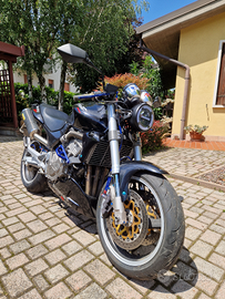 Honda hornet 600