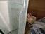 Immagine 3