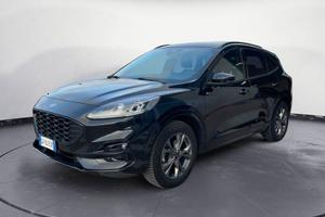 Ford Kuga 2.0 EcoBlue 120CV AWD ST-Line X Auto