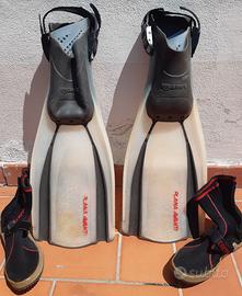 Pinne sub mares plana