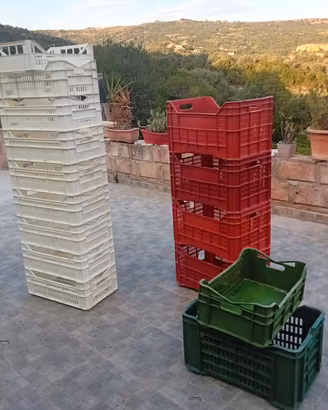 Cassette per la vendemmia
