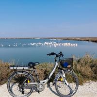 bicilette elettriche