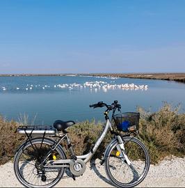 bicilette elettriche