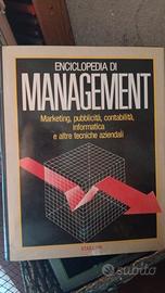 Enciclopedia Menagement