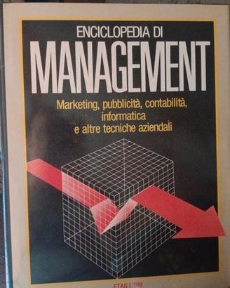 Enciclopedia Menagement