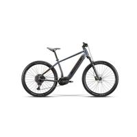 E-bike Whistle b-Race A9.2