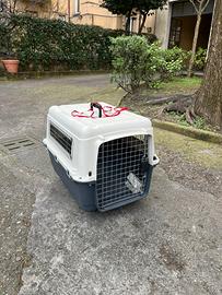 Trasportina rigida cani tagli media