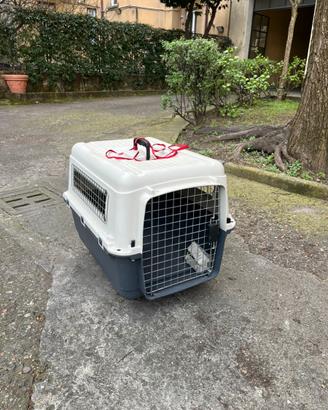 Trasportina rigida cani tagli media