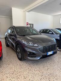 Ford Kuga 2.0 EcoBlue 120 CV aut.ST-Line 2024