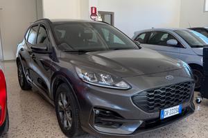 Ford Kuga 2.0 EcoBlue 120 CV aut.ST-Line 2024
