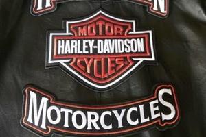 3 Toppe Toppa Patch Patches Logo Harley Davidson