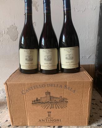 Cervaro sella sala Pinot nero 19