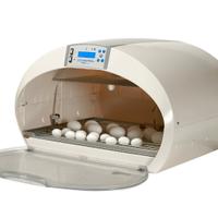 Incubatrice cosmo lcd