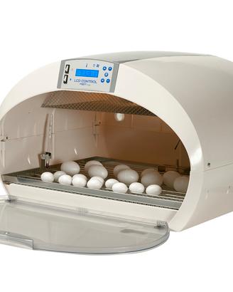 Incubatrice cosmo lcd