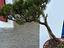 Immagine 6