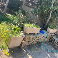 Vasi in cemento usati