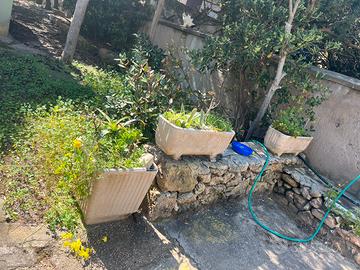 Vasi in cemento usati