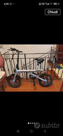 ecobike
