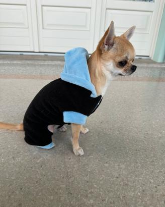 “Maglioncino” nero e blu per cani piccoli